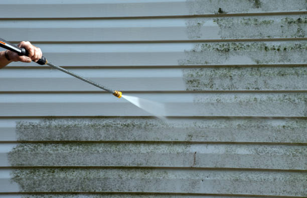 Best Affordable Power Washing  in Harrisville, PA